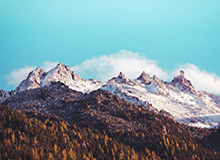 开云体育网址-吉迪16+15+13布泽利斯29+7 公牛主场大胜灰熊