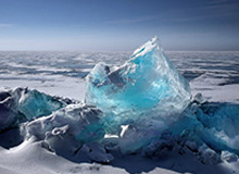 开云体育网址-吉迪16+15+13布泽利斯29+7 公牛主场大胜灰熊